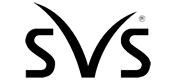 SVS Lashes – Speed, Volume, Style