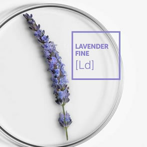 Lavender Fine Range