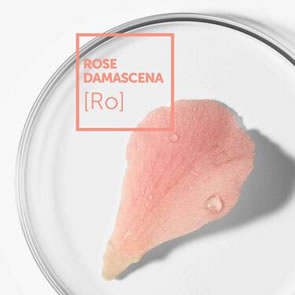 Rose Damascena Soothing Range