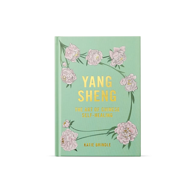 Hayo'u Yang Sheng - The Art of Chinese Self Healing Book