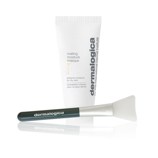 Dermalogica Melting Moisture Masque and Applicator Set
